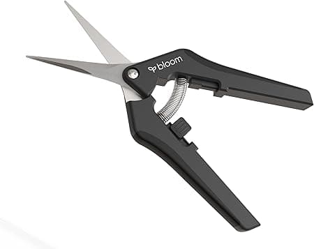 BLOOM Trimmschere